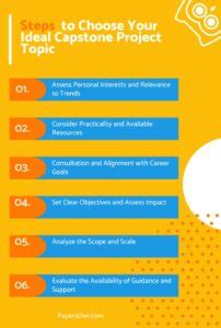 Capstone Project Examples 的图像结果