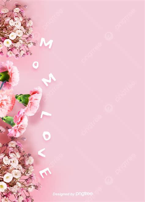 Background Of Mothers Day With Pink Simple Carnation Dry Flowers ...