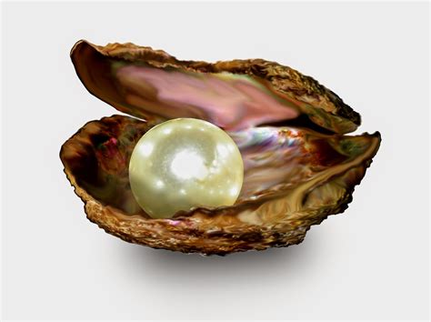 What Is a Pearl?