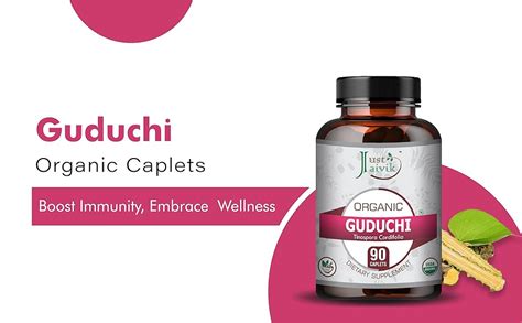 Just Jaivik Organic Guduchi - Giloy Tablets for Immunity Wellness and ...