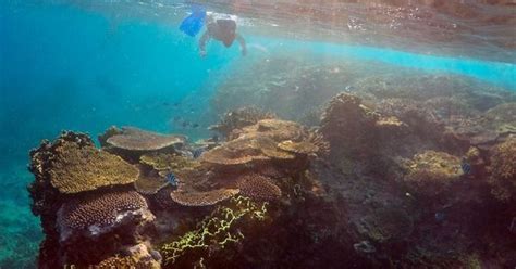 IPCC Climate change report: Unprecedented measures required to curb ...