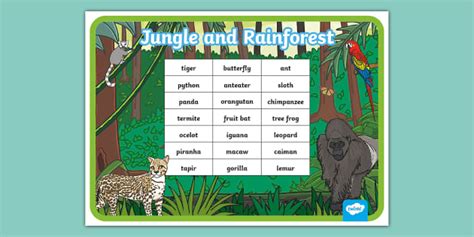 Jungle & Rainforest Word Mat (Text Version) (teacher made)