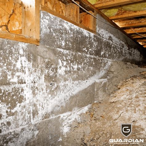 Image result for Efflorescence Repair