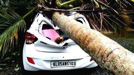 Heavy rain: Landslides and fallen trees cause damage, youth goes ...