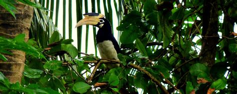 A Beautiful Homestay In Konkan | WhatsHot Pune