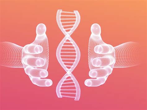 Researchers develop model to predict genetic mutations and determine ...