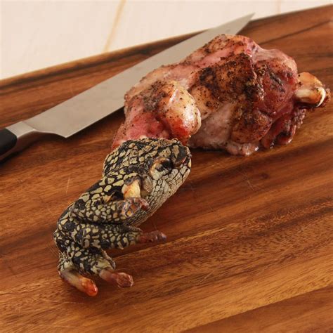 Whole Meat Crocodile Legs Bone-in 300g~399g BBQ India | Ubuy