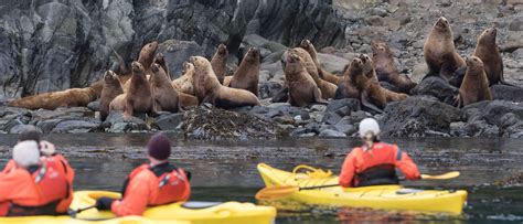 Alaska Voyages 2026