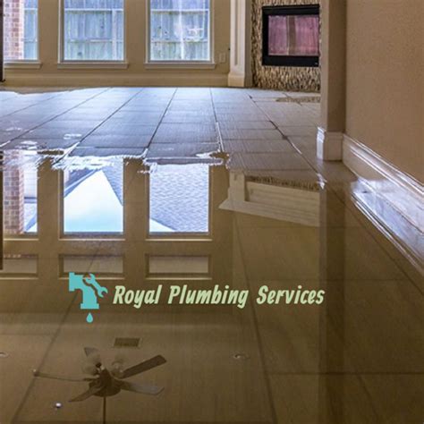 Just How Leak Detection Can Help You Stay Clear Of Mold | by Royal Plumbing Services | Medium
