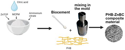 Antibacterial Composite Material Based on Polyhydroxybutyrate and Zn ...