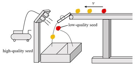 Research on an Intelligent Seed-Sorting Method and Sorter Based on ...