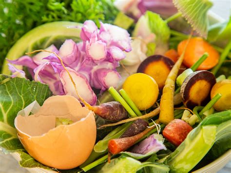 Image result for Simple Composting