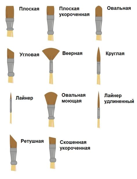 Кисти для рисования | как правильно выбрать?