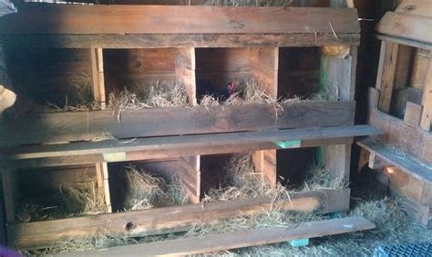 Turkey Nesting 的图像结果