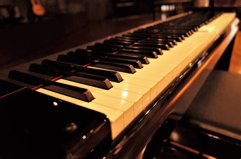 Events Archive - Wellen Park