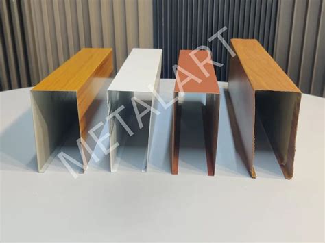 Baffle Ceiling - Paint Coated Baffle Ceiling Manufacturer from New Delhi