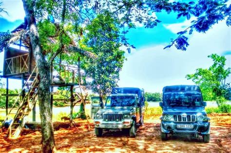 Lake View Jeep Safari (Sigiriya) - All You Need to Know BEFORE You Go
