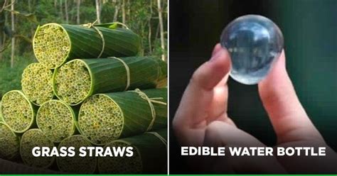 Seven Products That Reduce Our Plastic Use, Helping The Planet From ...