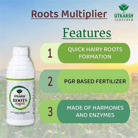 Roots Multiplier (For Quick Hairy Roots Formation) Plant Food for Heal