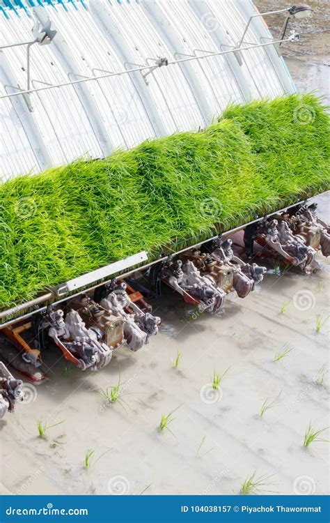 Image result for Rice Field Use Transplanter Machine