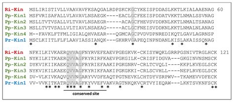 Hexapod Assassins’ Potion: Venom Composition and Bioactivity from the ...