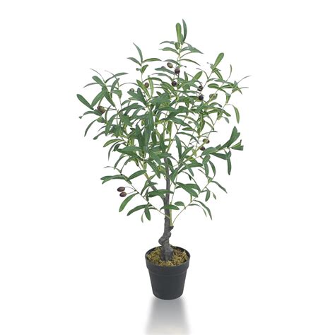 Buy ENUTROF Artificial Olive Plants with Basic Pot for Gifiting, Home ...