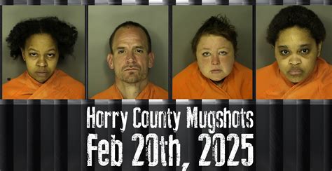 Horry County Mugshots February 20th, 2025 - WFXB