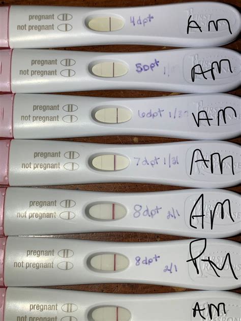 FET line progression | BabyCenter