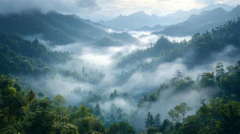 Free High Resolution Desktop Backgrounds 的图像结果