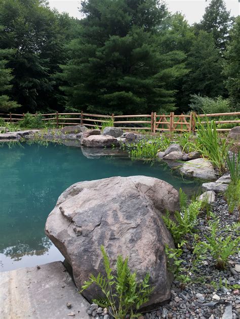 Natural Swim Ponds and Pools — PondWorks