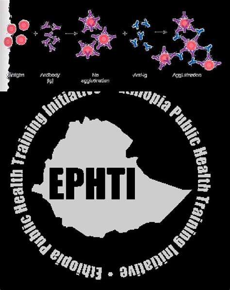 Image result for Coombs Reagent