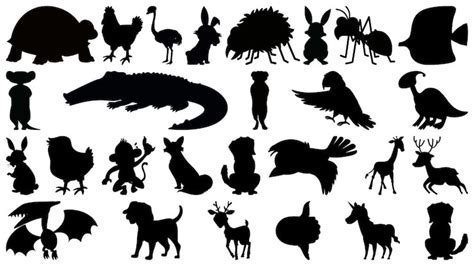 Dieren silhouet tekening Afbeeldingen - Gratis downloaden op Freepik