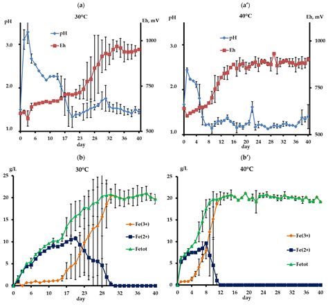 Non-Ferrous Metals and PGM Recovery from Low-Grade Copper–Nickel ...