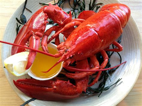 When is Lobster Season in Maine in 2022?