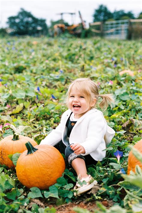 My Favorite Fall Family Activities in Charlottesville, VA - Amy Nicole ...