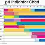pH Indicator Chart | Flinn Scientific