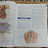 Jaypee Brothers DC Dutta's Textbook of Obstetrics