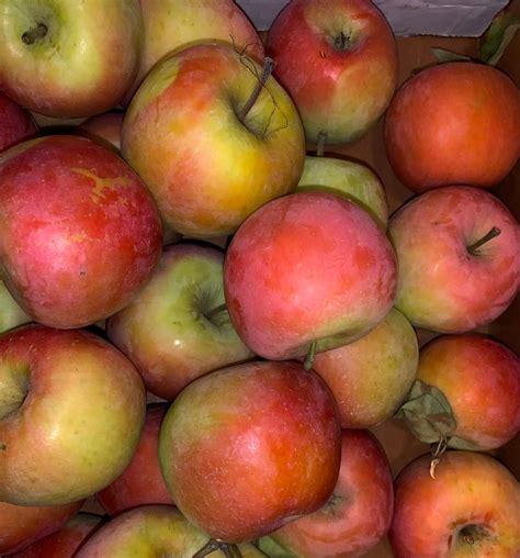 Apple Butter Weekend , The Pumpkin Patch at Hill High Farm, Huntly, 7 ...