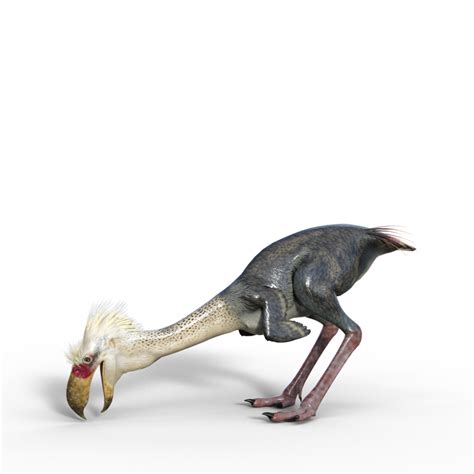 Image result for Extinct Bricks Phorusrhacos