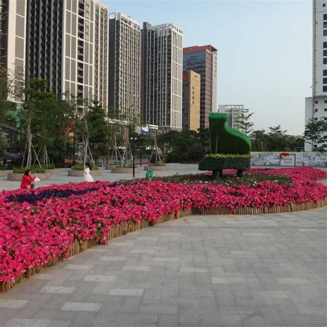 SHUXIANG PARK - All You Need to Know BEFORE You Go 2026 (with Photos ...