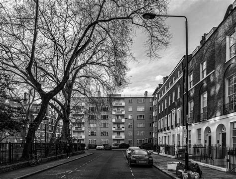 Image result for Grayscale Models