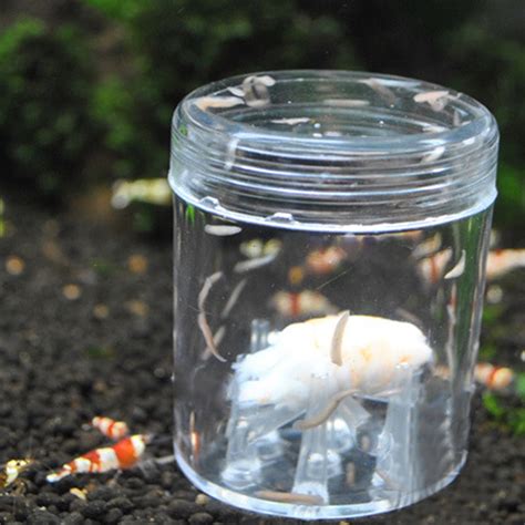 Buy HeroNeo Leech-Trap for Aquarium 8 Holes Transparent Acrylic Mini ...