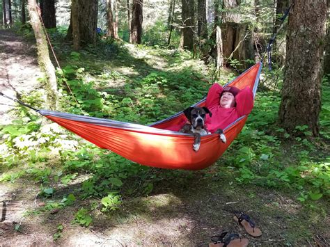Lower Falls Campground in Gifford Pinchot National Forest, Washington ...