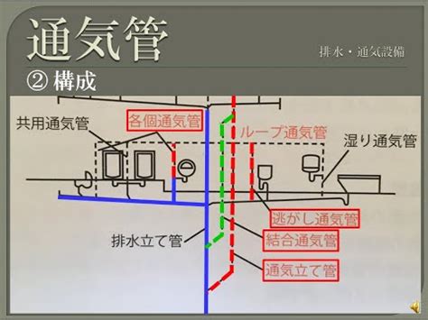 Image result for Complex Numbee Tree