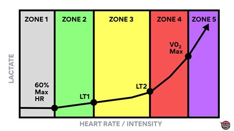 Understanding Heart Rate Training Zones, V02 Max, & Lactate Threshold