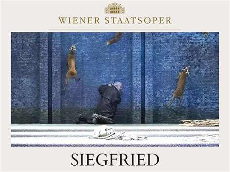 Image result for Siegfried Opera Highlights