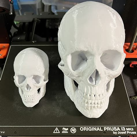 3D printing Human Skull • made with Prusa i3 Mk3s・Cults