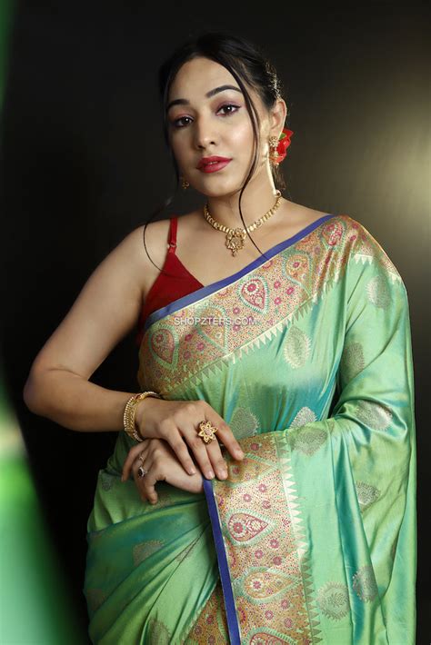 Paithani Dola Silk With Zari Border – Shopzters