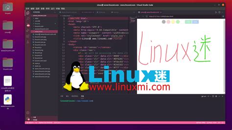vs Code Live Preview HTML 的图像结果
