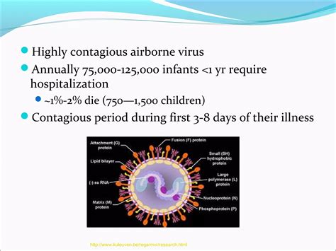 RSV presentation | PPT